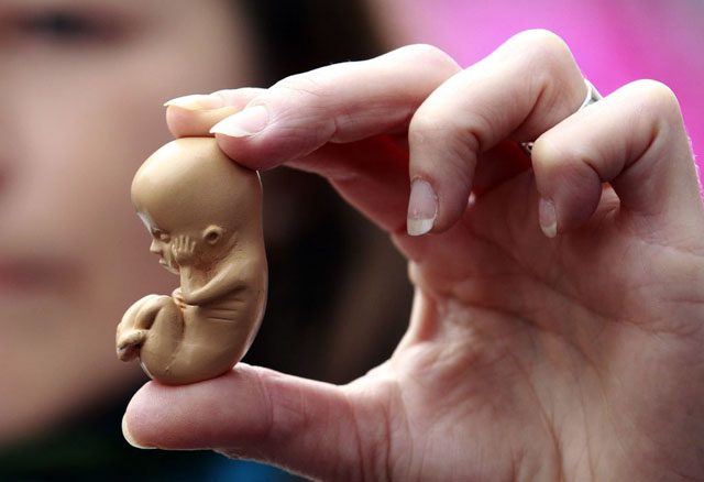 A pro-life campaigner holds up a model of a 12-week-old embryo during a protest outside the Marie Stopes clinic in Belfast October 18, 2012. The first private clinic offering abortions opened in Northern Ireland on Thursday, making access to abortion much easier for women in both Northern Ireland and the Republic of Ireland. REUTERS/Cathal McNaughton (NORTHERN IRELAND - Tags: HEALTH SOCIETY RELIGION)