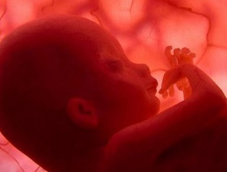 Consentimiento informado y ecografía, la jugada maestra para frenar el aborto